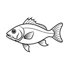 sea-fish vector illustration.