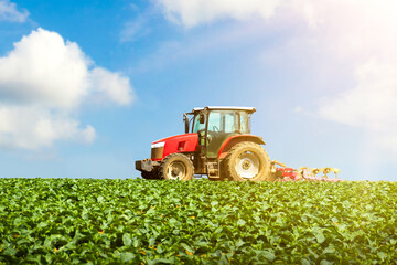 Tractor on farmland towing industrial machinery attachment across field of growing vegetable crops. Sun is shining on the landscape and the agricultural crops look healthy and green.