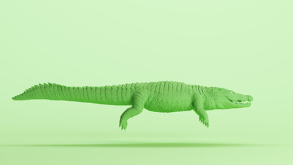 Green crocodile reptile dinosaur teeth eyes tail monochrome pale mint green background side view 3d illustration render