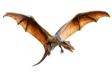 Naklejka premium Pterodactyl image with a white background