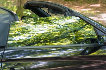 オープンカーのウインドに映る新緑
