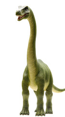 Brachiosaurus dinosaur isolated on white background