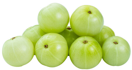 Phyllanthus emblica or Indian gooseberry traditional medicine plant for treatment of various diseases in Asian countries isolate on white PNG File.