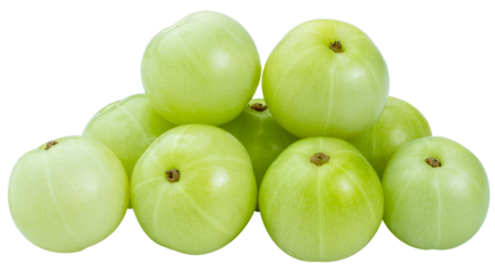 Phyllanthus emblica or Indian gooseberry traditional medicine plant for treatment of various diseases in Asian countries isolate on white PNG File.