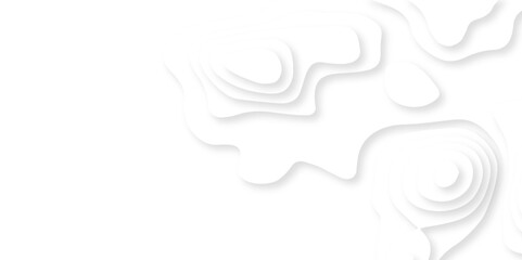 Abstract white paper cut background with lines. Background of the topographic map. White wave paper curved reliefs abstract background. Realistic papercut decoration textured with wavy layers.