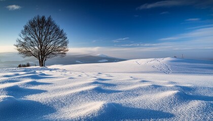 Snowy landscape with lone tree
