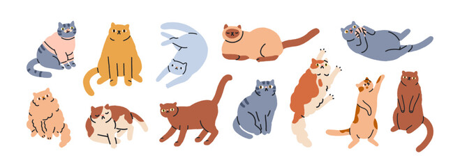 Cute funny cats in different comic fun poses. Adorable feline animals, clumsy amusing kitties sleeping, lying, playing in hilarious positions. Flat vector illustration isolated on white background