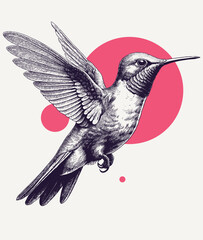 Vintage engraving of a hummingbird © EnginKorkmaz