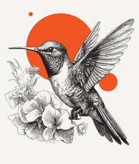 Vintage engraving of a hummingbird