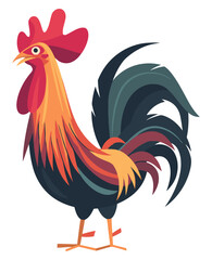 Male Chicken. Flat Vector Illustration