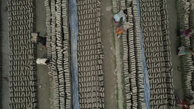 Aerial view of workers carrying bricks at a brick factory, Bahubal, Bangladesh
