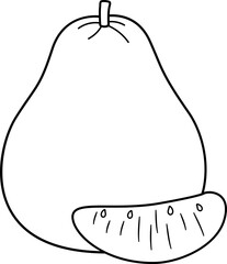 Pomelo fruit outline vector.