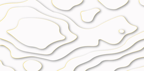 Vector contour map background and geography map grid abstract backdrop. Business concept. contour line like map geological abstract background. coastline.