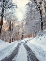 Snowy Road with Snow-Covered Trees