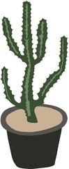 Cactus illustration