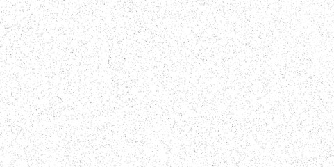 white and black particles dust noise paper texture background and terrazzo flooring texture polished stone pattern. Quartz surface white for bathroom or kitchen sandstone small have mixed sand tile.