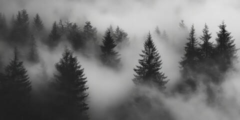 dense fog rolling through a forest 