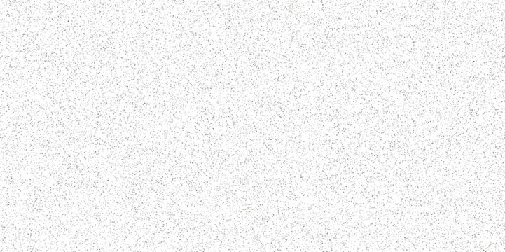 white and black particles dust noise paper texture background and terrazzo flooring texture polished stone pattern. Quartz surface white for bathroom or kitchen sandstone small have mixed sand tile.