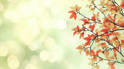A branch with autumn, red and yellow leaves on a light green blurred background with bokeh. Autumn banner concept with copy space.