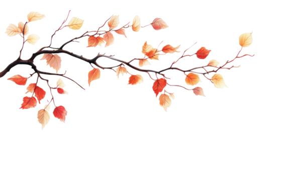 A watercolor illustration of a branch with autumn leaves, two white rectangles, and a black background.