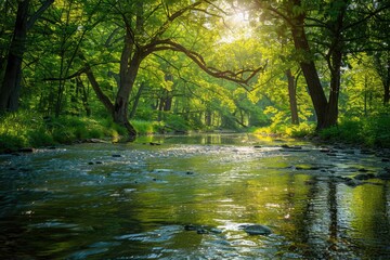 Tranquil Sunlit Forest Stream with Lush Greenery and Sparkling Waters