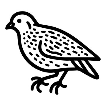 recommend clip art: quail