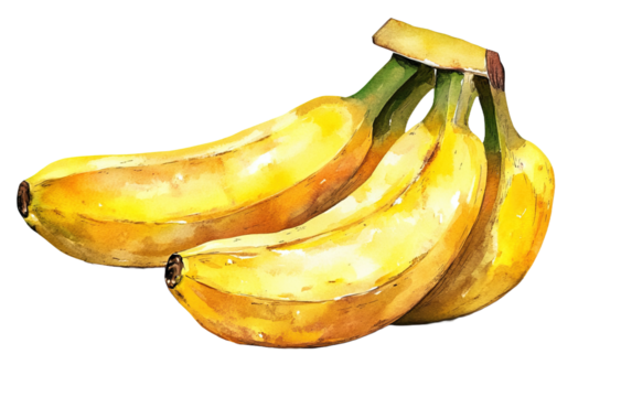 Fresh banana fruit watercolor on transparent background, png	