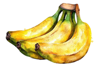 Fresh banana fruit watercolor on transparent background, png	