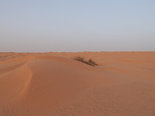 Dune, désert