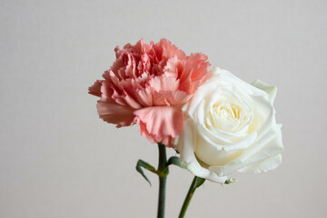 白薔薇とカーネーション