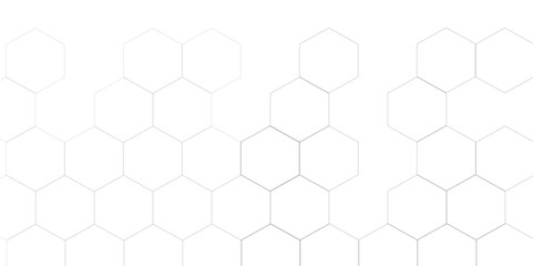 Abstract white background with hexagon and hexagonal background. Luxury white pattern with hexagons. abstract 3d hexagonal background with shadow. 3D futuristic abstract honeycomb mosaic background.