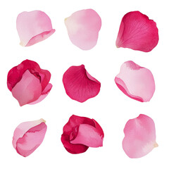 Collection of pink and red rose petals isolated on black background