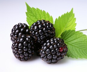 Fresh Blackberries - Close Up