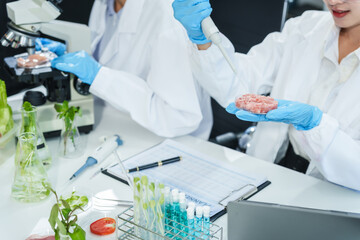 Two Asian women in a lab work on food research, using a microscope, petri dish, and test tubes...