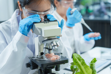 Fototapeta premium Two Asian women in a lab work on food research, using a microscope, petri dish, and test tubes filled with chemical solutions. They study vegetables, pork, and plants for GMO traits and nutrition.