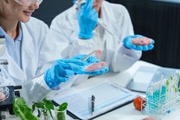Two Asian women in a lab work on food research, using a microscope, petri dish, and test tubes...