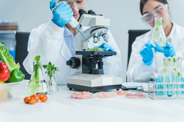 Two Asian women in a lab work on food research, using a microscope, petri dish, and test tubes...