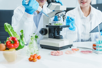 Two Asian women in a lab work on food research, using a microscope, petri dish, and test tubes filled with chemical solutions. They study vegetables, pork, and plants for GMO traits and nutrition.