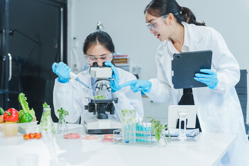 Two Asian women in a lab work on food research, using a microscope, petri dish, and test tubes...