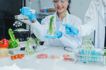 Two Asian women in a lab work on food research, using a microscope, petri dish, and test tubes...