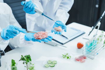 Two Asian women in a lab work on food research, using a microscope, petri dish, and test tubes filled with chemical solutions. They study vegetables, pork, and plants for GMO traits and nutrition.