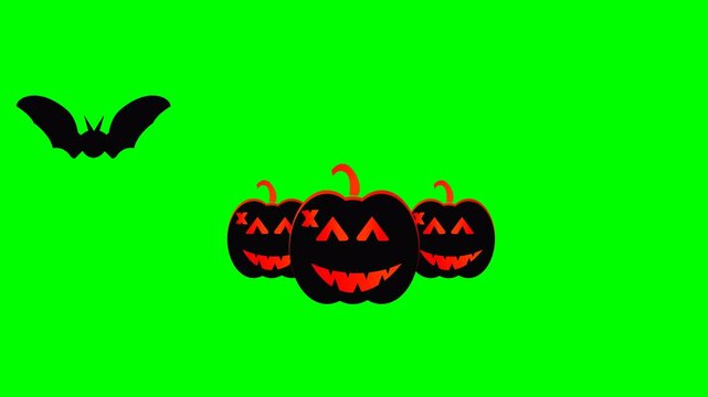 Animation of three pumpkins falling with black bats flying around on a green screen background. only 4K resolution