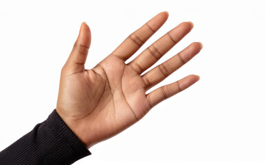 hand isolated on white bg