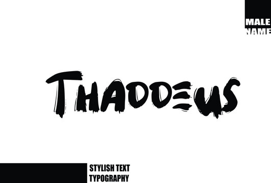 Bold Grunge And Rough Brush Text Typography Of Baby Boy Name Thaddeus
