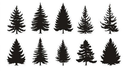 Fototapeta premium A versatile set of Christmas tree silhouettes, featuring various styles of pine trees and forest fir trees. This pictogram collection captures the essence of nature and the festive spirit,
