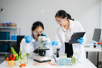 Two Asian scientists in a lab conducting food research using a microscope and lab equipment,...