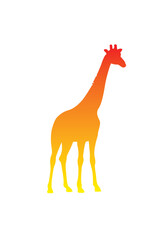 Fototapeta premium The silhouette of a giraffe. Original vector illustration in vintage style.