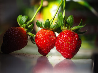 Red strawberries and green petals