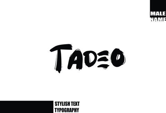 Bold Grunge And Rough Brush Text Typography Of Baby Boy Name Tadeo