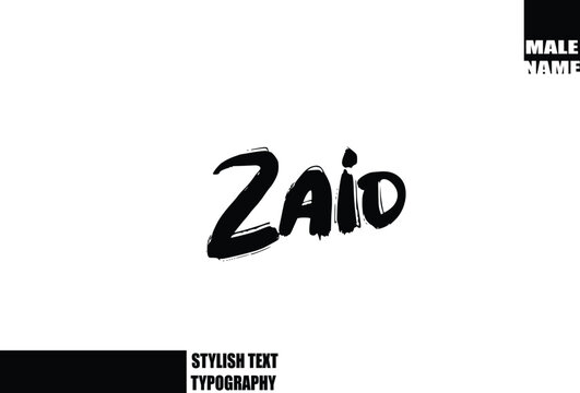 Baby Boy Name In Bold Grunge And Rough Brush Text Typography Zaid.